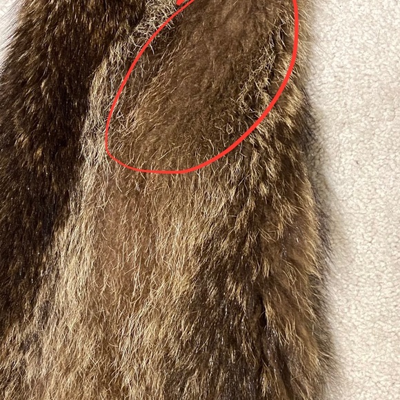 Fur Coat - Racoon - Picture 9 of 12